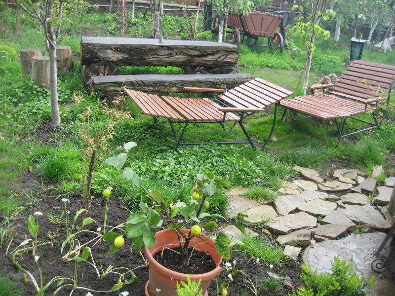 Leaganul Bucovinei Guest House Suceava Eksteriør billede